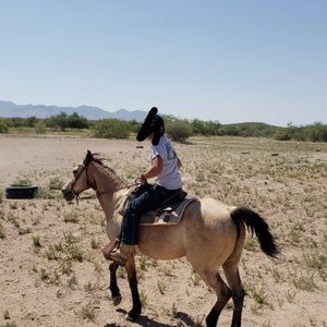 Meet your Posher, Jackson